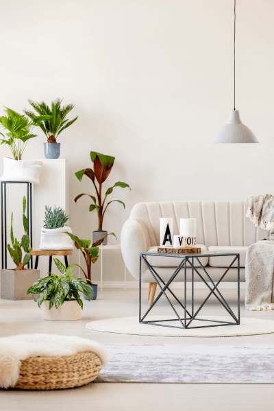  Premium Furniture Collection in Pune